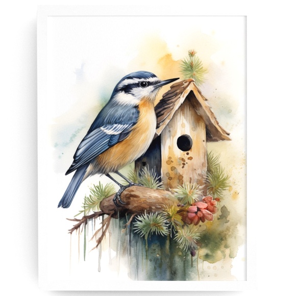 Creative Path Studios Other - Red-breasted Nuthatch Bird Wall Art Watercolor Illustration Print Unframed